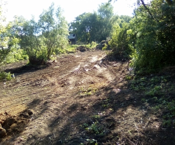 Bodrog